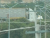 p1000859