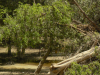 floodmty-010-0006