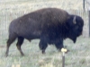 colorado_sc-075