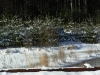 snownortheastjanuaryxmas-113
