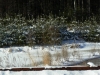 snownortheastjanuaryxmas-114