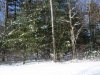 snownortheastjanuaryxmas-117