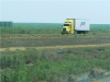 mty40908-006