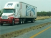 mty40908-101